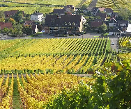 Hotel Le Riquewihr